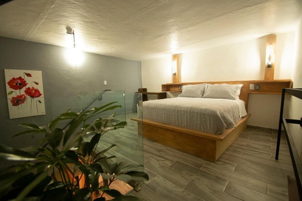 El Jardin De La Abuela Hotel Queretaro Ngoại thất bức ảnh