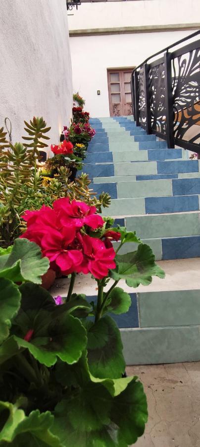 El Jardin De La Abuela Hotel Queretaro Ngoại thất bức ảnh