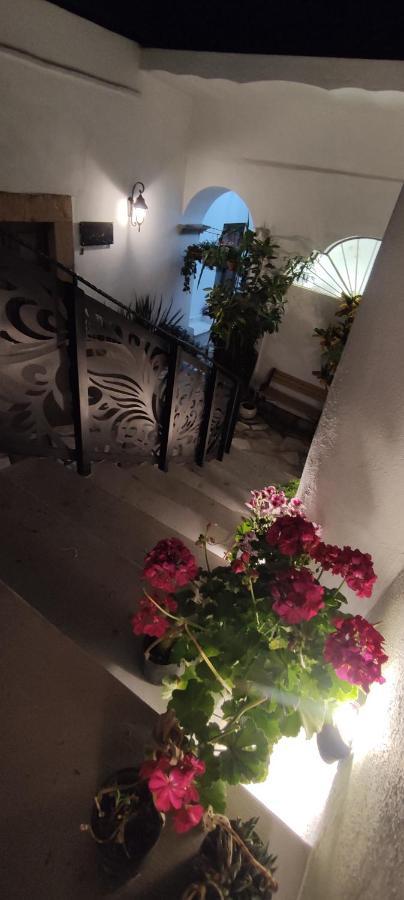 El Jardin De La Abuela Hotel Queretaro Ngoại thất bức ảnh