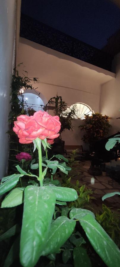 El Jardin De La Abuela Hotel Queretaro Ngoại thất bức ảnh